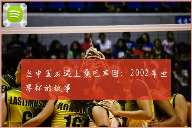 当中国龙遇上桑巴军团:2002年世界杯的故事