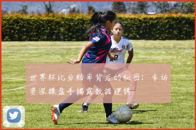世界杯比分赔率背后的秘密:专访资深操盘手揭露数据逻辑