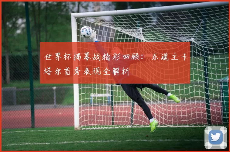 世界杯揭幕战精彩回顾:东道主卡塔尔首秀表现全解析
