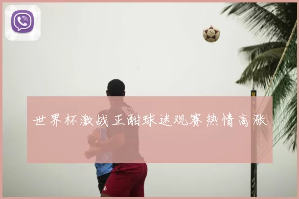 世界杯激战正酣球迷观赛热情高涨