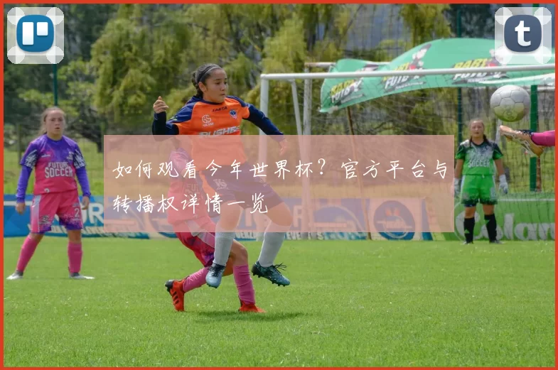 如何观看今年世界杯?官方平台与转播权详情一览