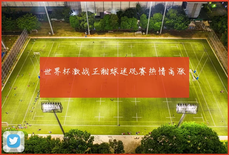 世界杯激战正酣球迷观赛热情高涨