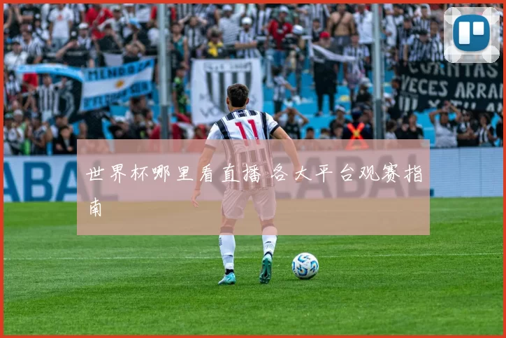 世界杯哪里看直播 各大平台观赛指南