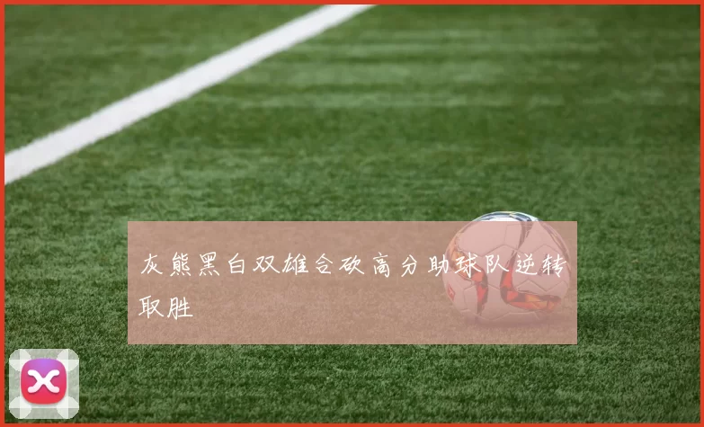 灰熊黑白双雄合砍高分助球队逆转取胜