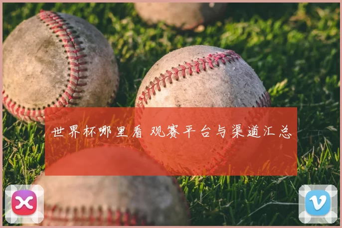 世界杯哪里看 观赛平台与渠道汇总