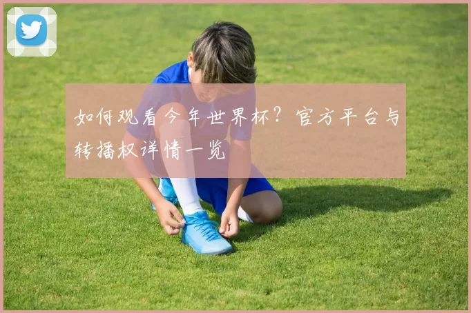 如何观看今年世界杯?官方平台与转播权详情一览