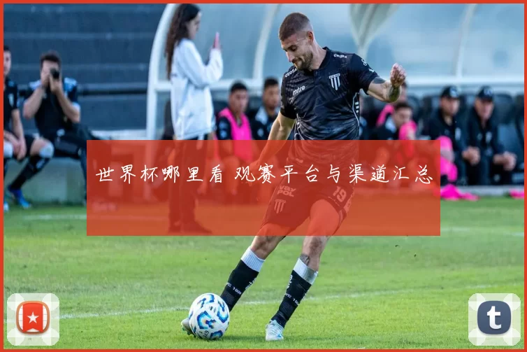 世界杯哪里看 观赛平台与渠道汇总