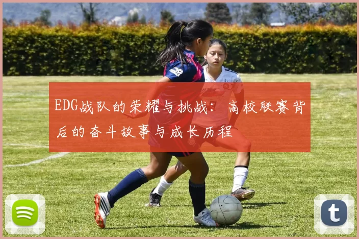 EDG战队的荣耀与挑战:高校联赛背后的奋斗故事与成长历程