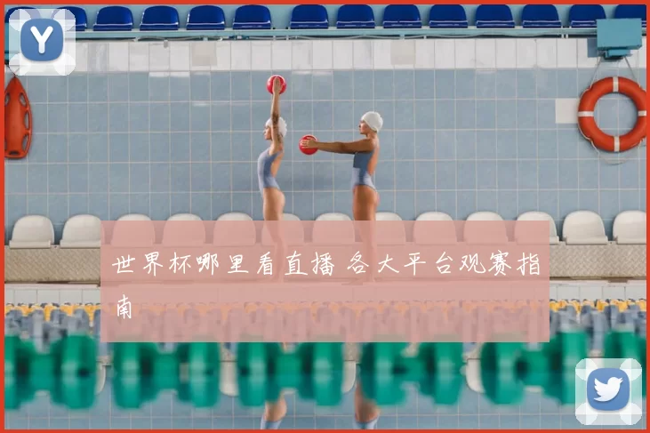 世界杯哪里看直播 各大平台观赛指南